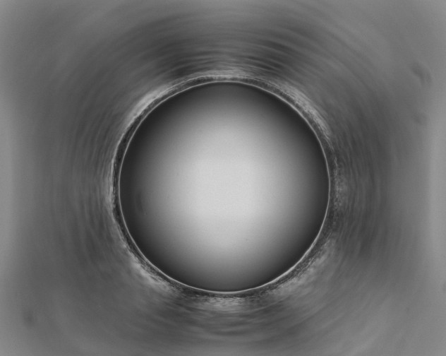 X0000113010845200909031312