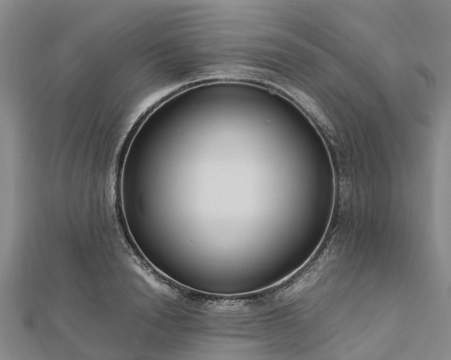 X0000113010846200909031312