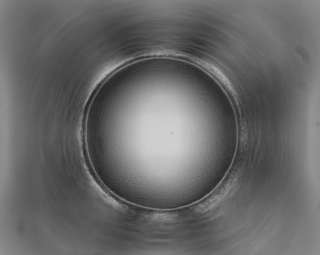 X0000113010847200909031312