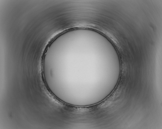 X0000113010848200909031312