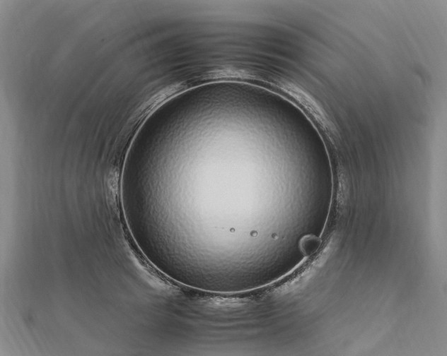 X0000113010849200909031312