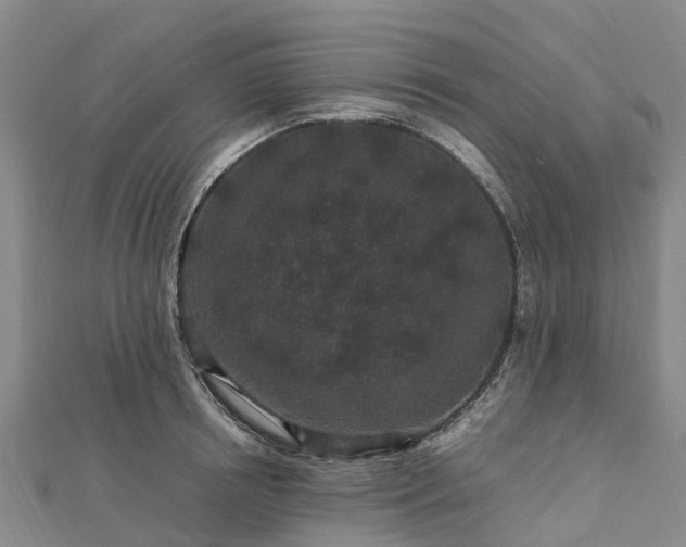 X0000113010850200909031312