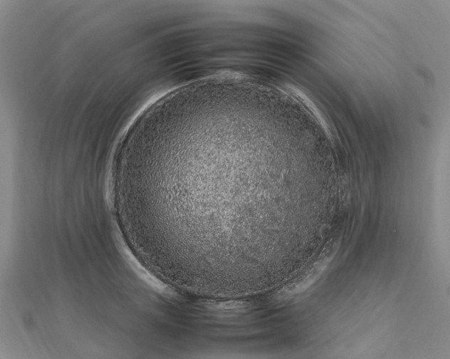 X0000113010851200909031312