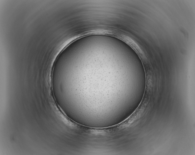 X0000113010852200909031312