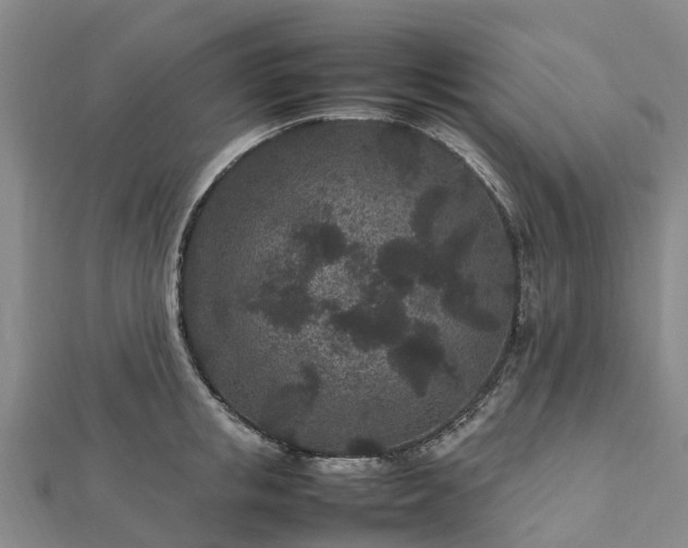 X0000113010853200909031312