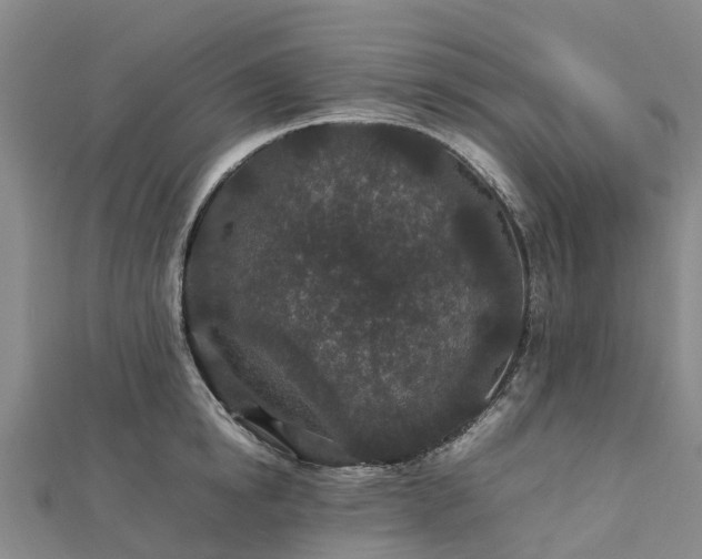 X0000113010854200909031312