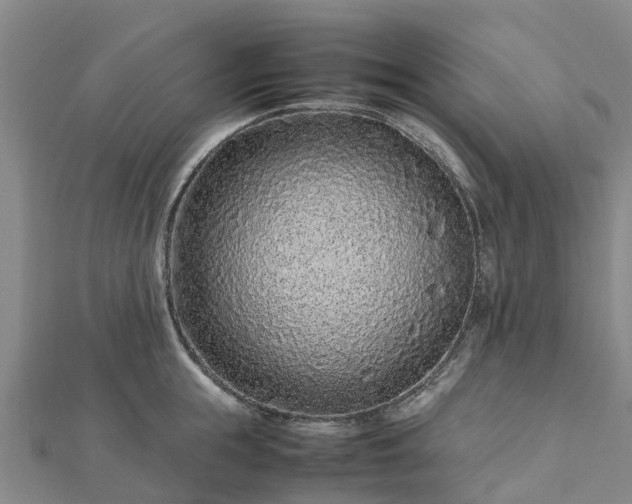 X0000113010855200909031312