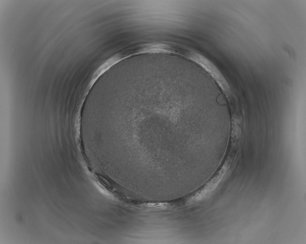 X0000113010858200909031312