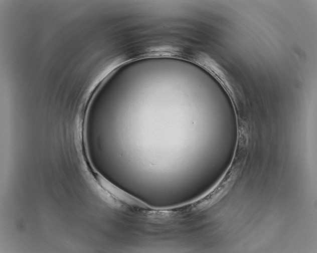 X0000113010859200909031312