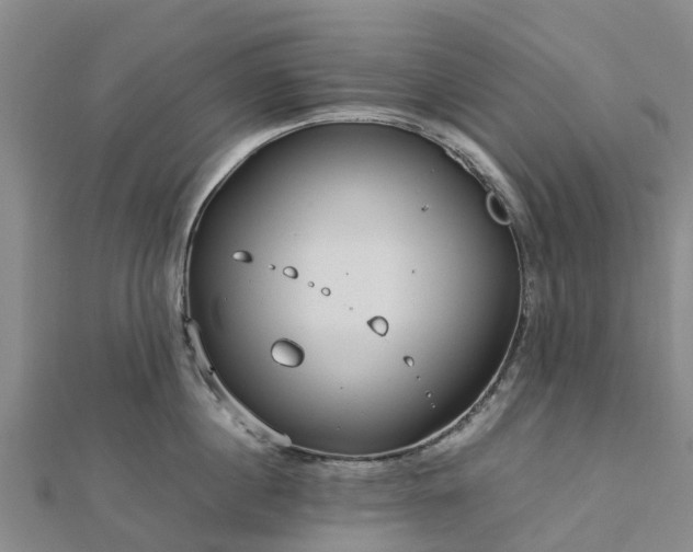 X0000113010860200909031312