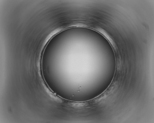 X0000113010861200909031312