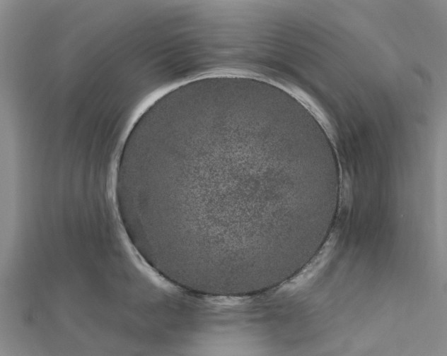 X0000113010862200909031312