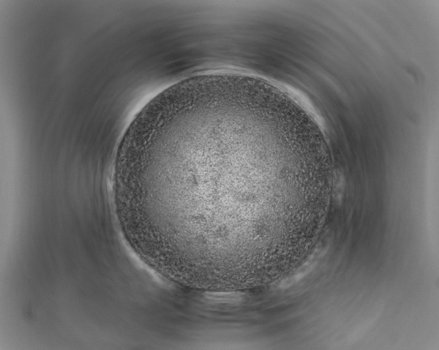 X0000113010863200909031312