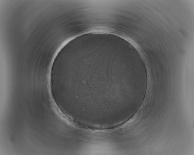 X0000113010864200909031312