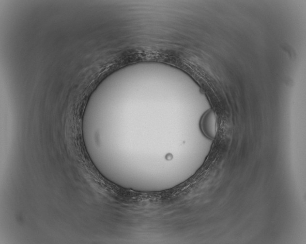 X0000113010865200909031312