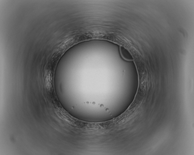 X0000113010866200909031312