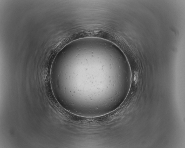 X0000113010867200909031312