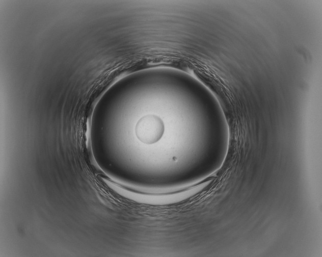 X0000113010868200909031312