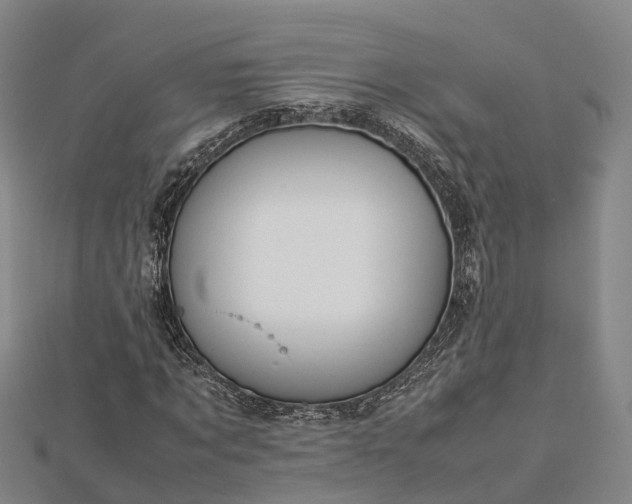 X0000113010869200909031312