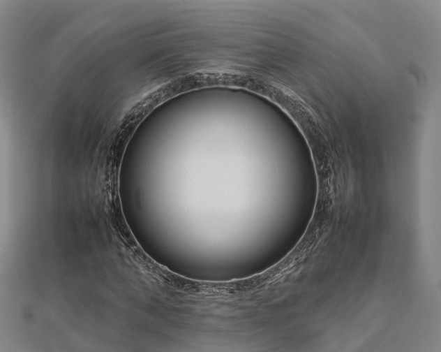 X0000113010870200909031312