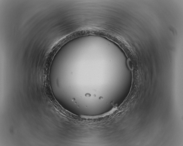 X0000113010872200909031312