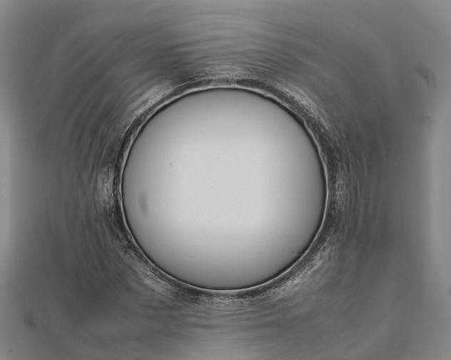 X0000113010873200909031312