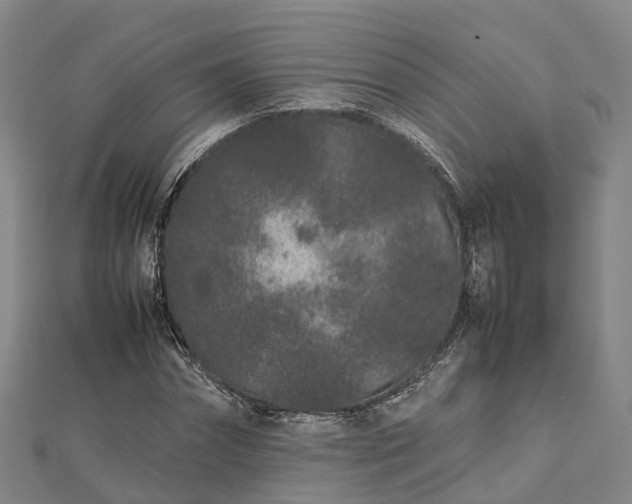 X0000113010874200909031312