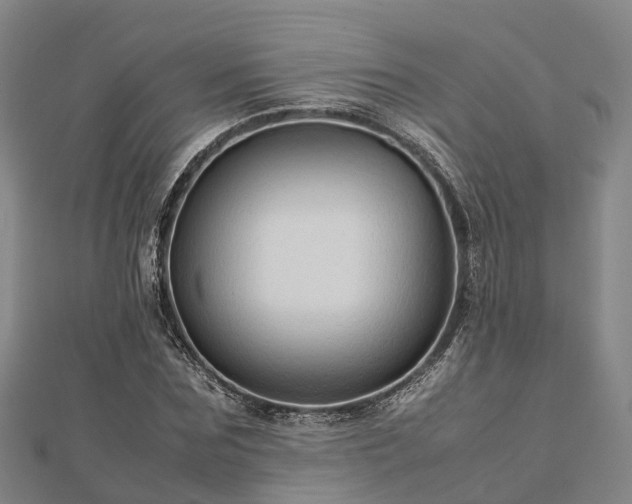 X0000113010875200909031312