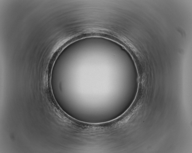 X0000113010877200909031312