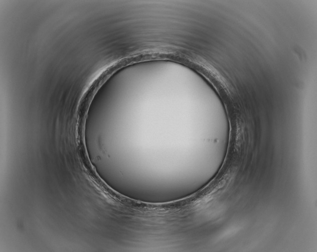 X0000113010878200909031312