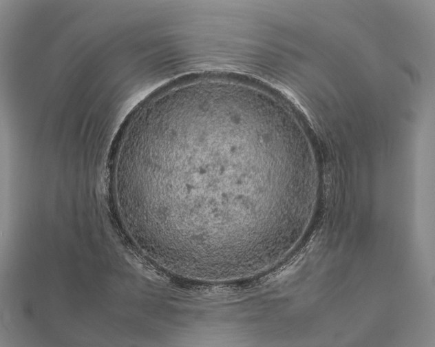 X0000113010879200909031312