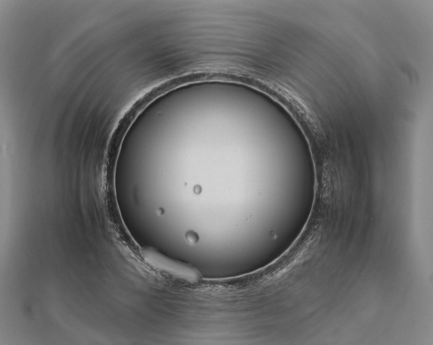 X0000113010880200909031312