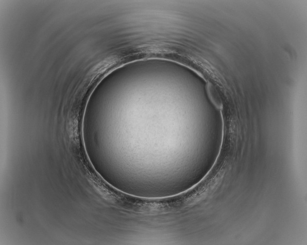 X0000113010881200909031312