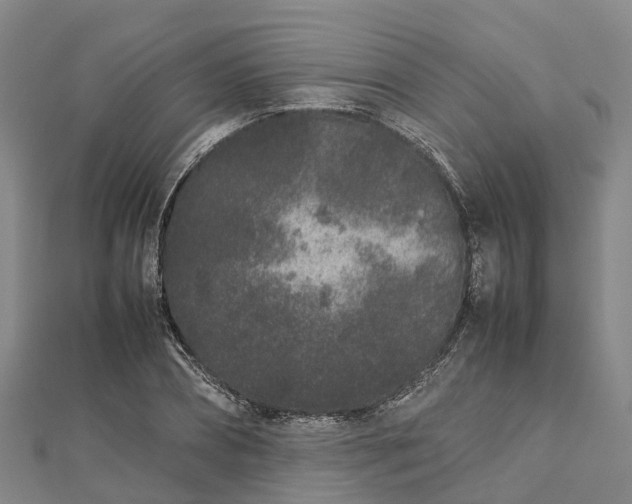 X0000113010882200909031312