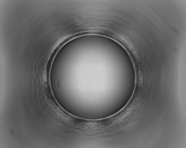 X0000113010883200909031312