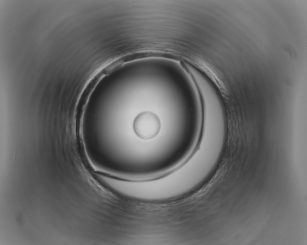 X0000113010884200909031312