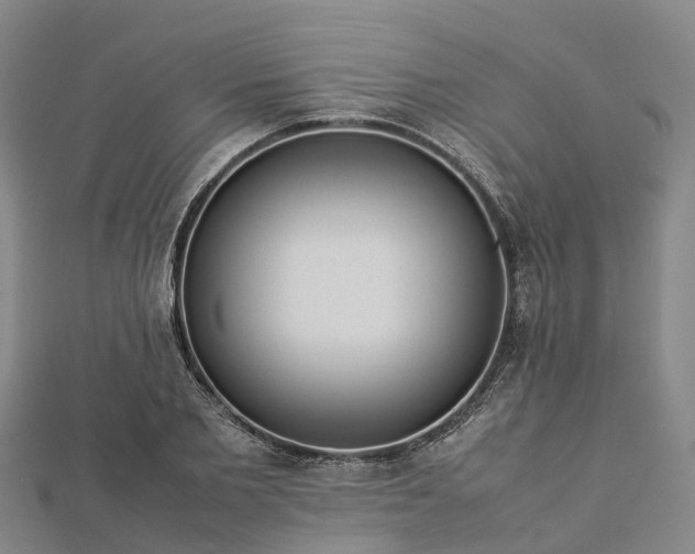 X0000113010885200909031312