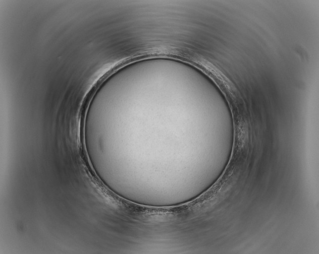 X0000113010886200909031312