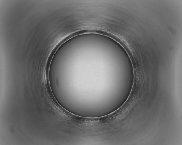 X0000113010887200909031312