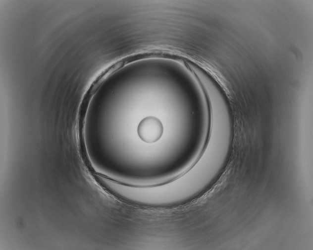 X0000113010888200909031311