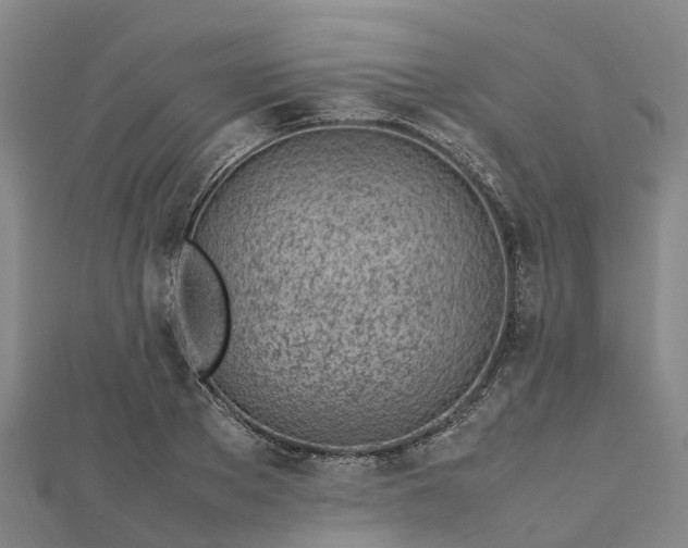 X0000113010889200909031311