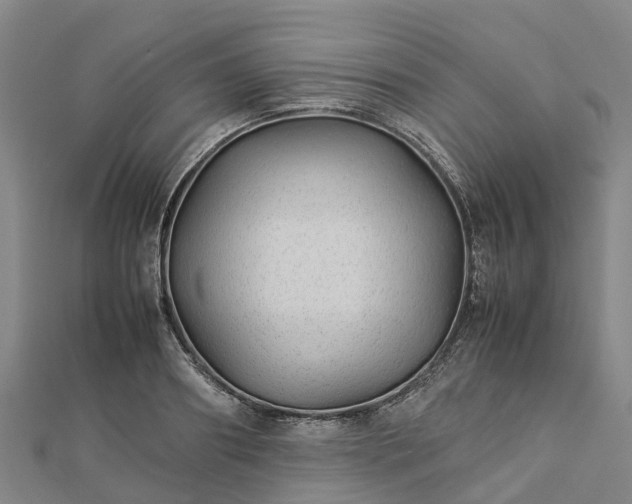 X0000113010890200909031311