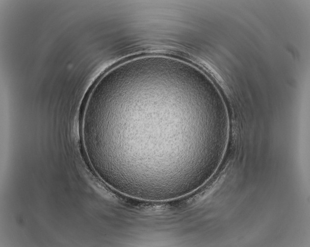 X0000113010891200909031311