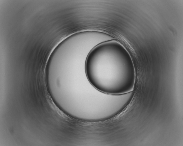 X0000113010892200909031311