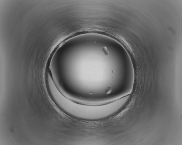 X0000113010893200909031311