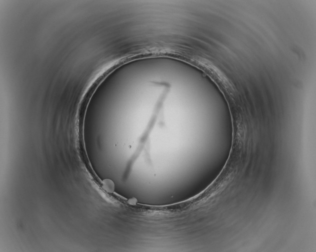 X0000113010894200909031311