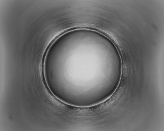 X0000113010895200909031311