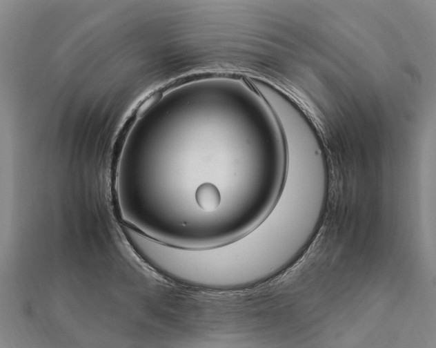 X0000113010896200909031311