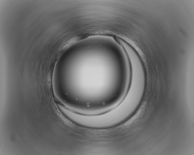 X0000113010897200909031311