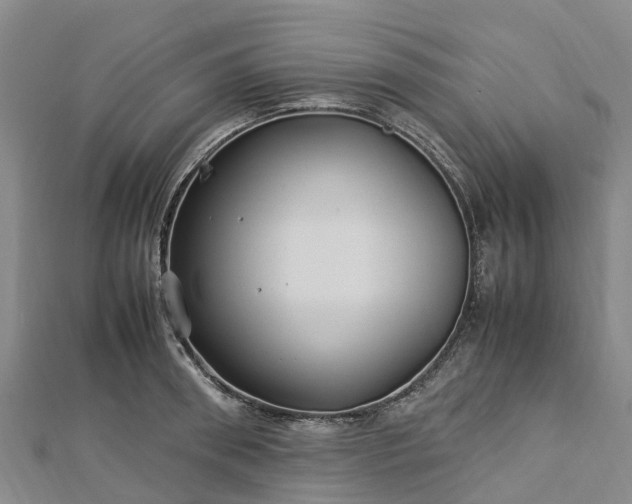 X0000113010898200909031311